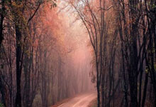 尤文遗憾出局，无缘欧冠淘汰赛