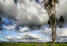 比赛悬念重重，胜负将在最后时刻决定