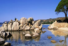 鹿岛鹿角历史性大胜全北现代，主场荣耀，未来可期！